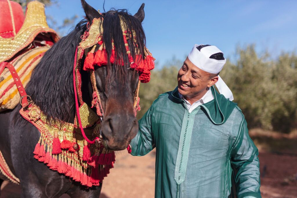 Fantasia rider with a decorated horse at a Marrakech-Safi moussem